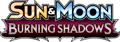 Burning Shadows