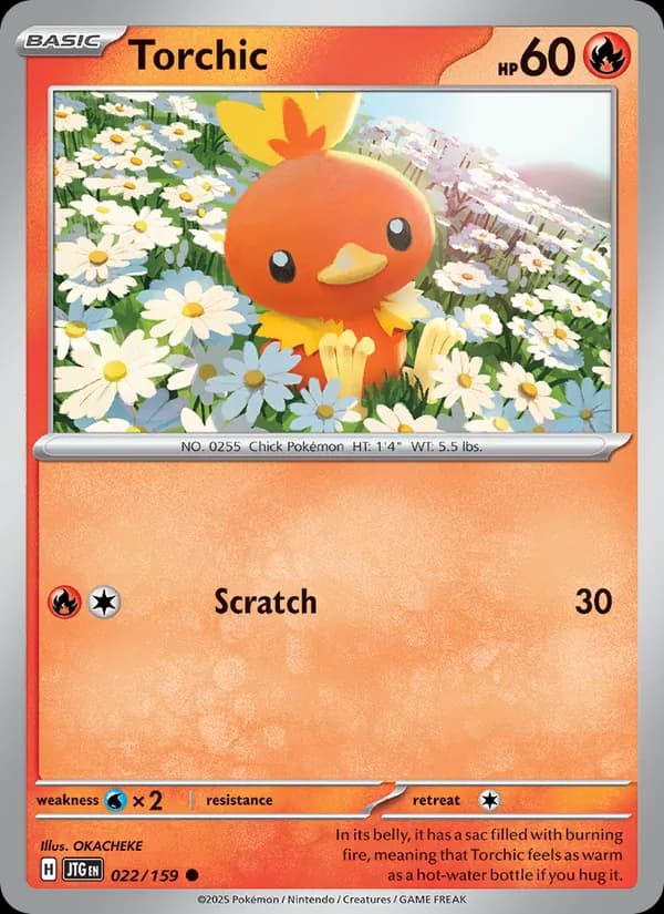 Torchic