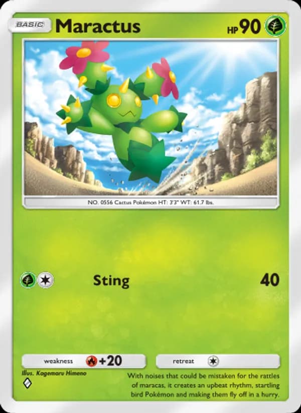 Maractus