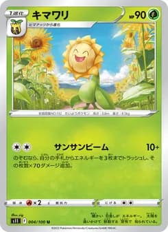 キマワリ