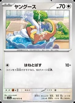 ヤングース