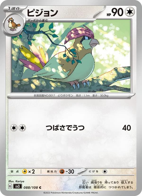 ピジョン