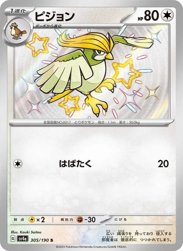 ピジョン